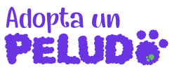 Logo sin fondo (1)